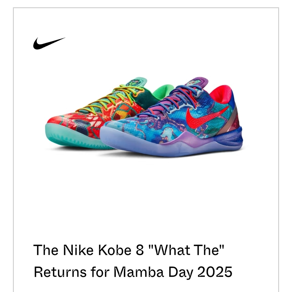 Nike Kids Kobe 8 'What The' Multicolor Shoes